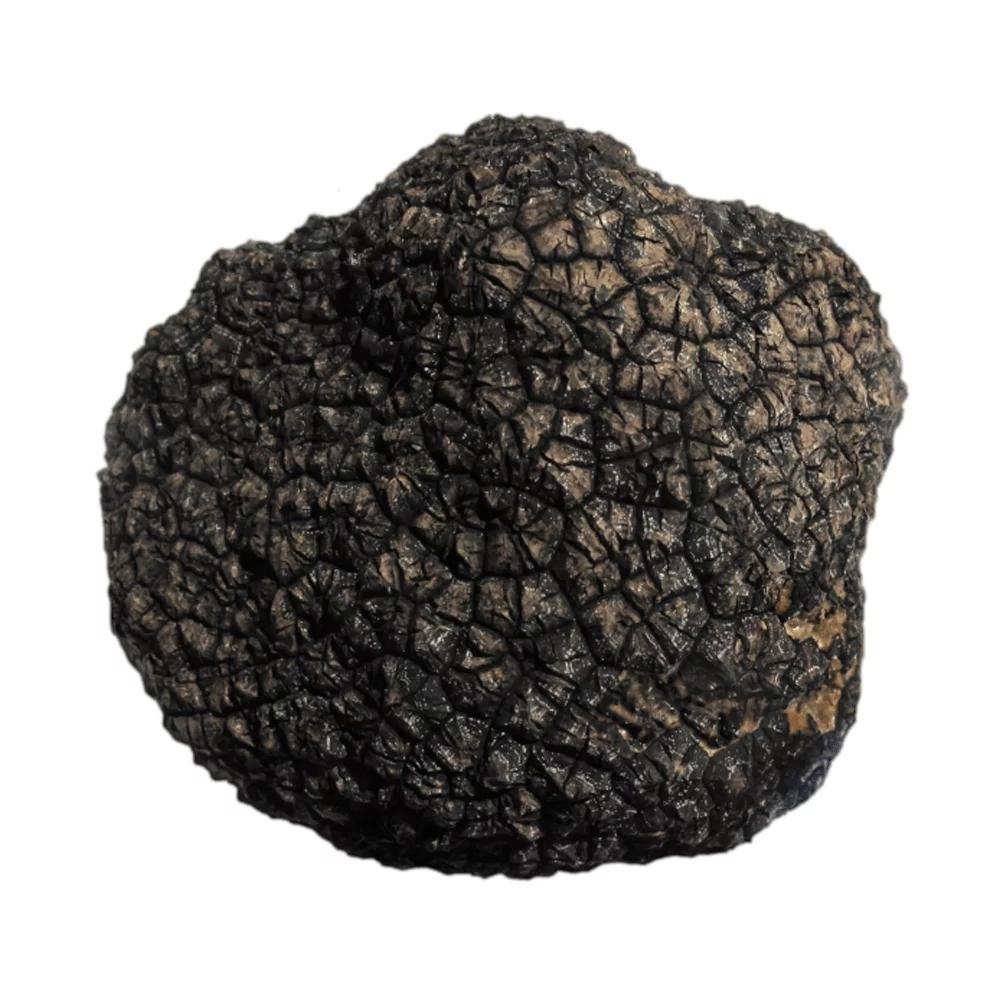 TRUFA FRESCA TUBER AESTIVUM KG