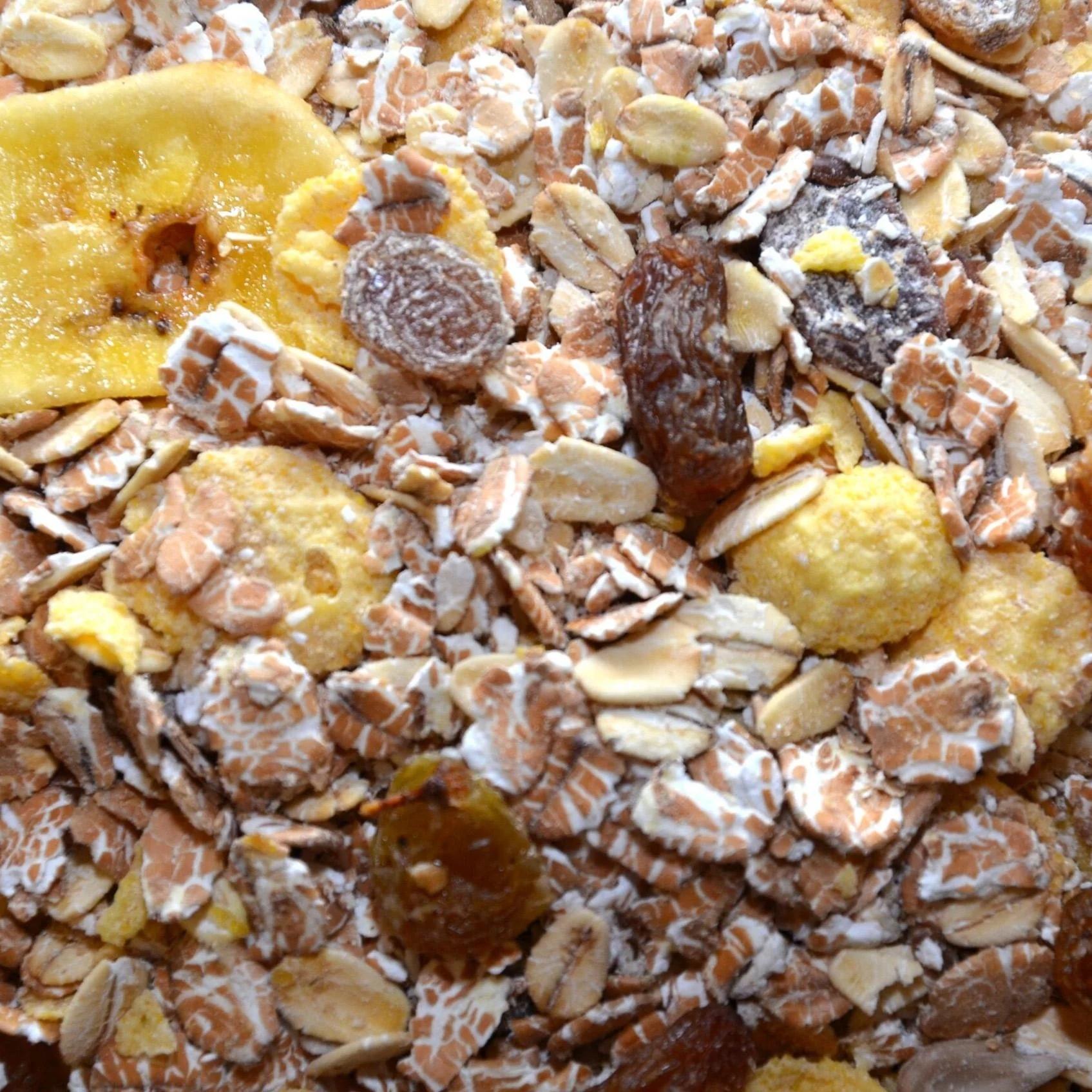 MUESLI 5 FRUTAS 1 KG.*10    .