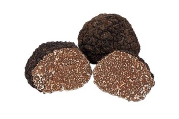 TRUFA FRESCA TUB.UNCINATUM kg