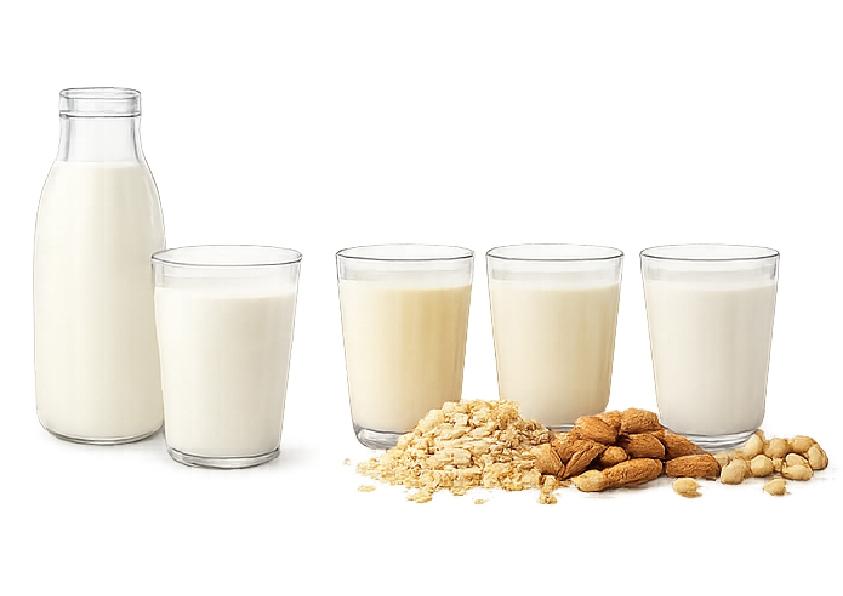 LECHE Y BEBIDA VEGETAL