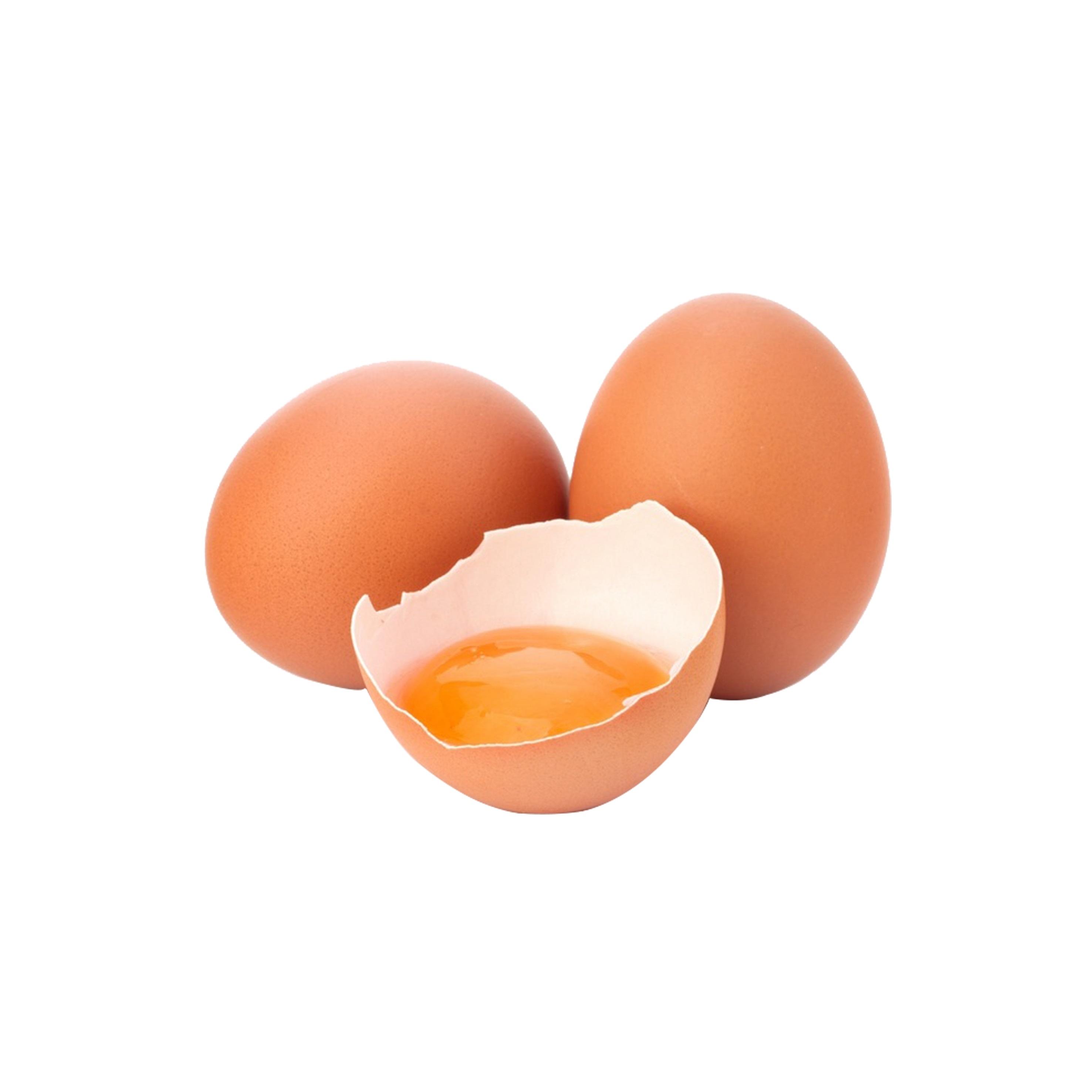 OVOPRODUCTOS