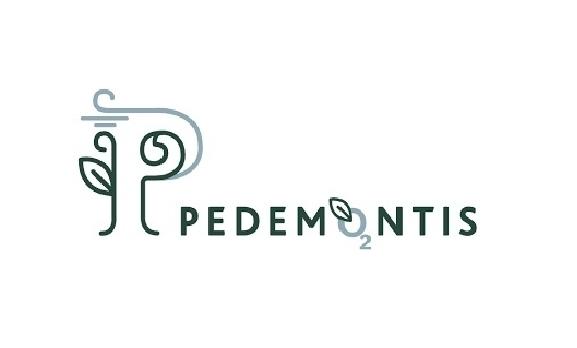 PEDEMONTIS