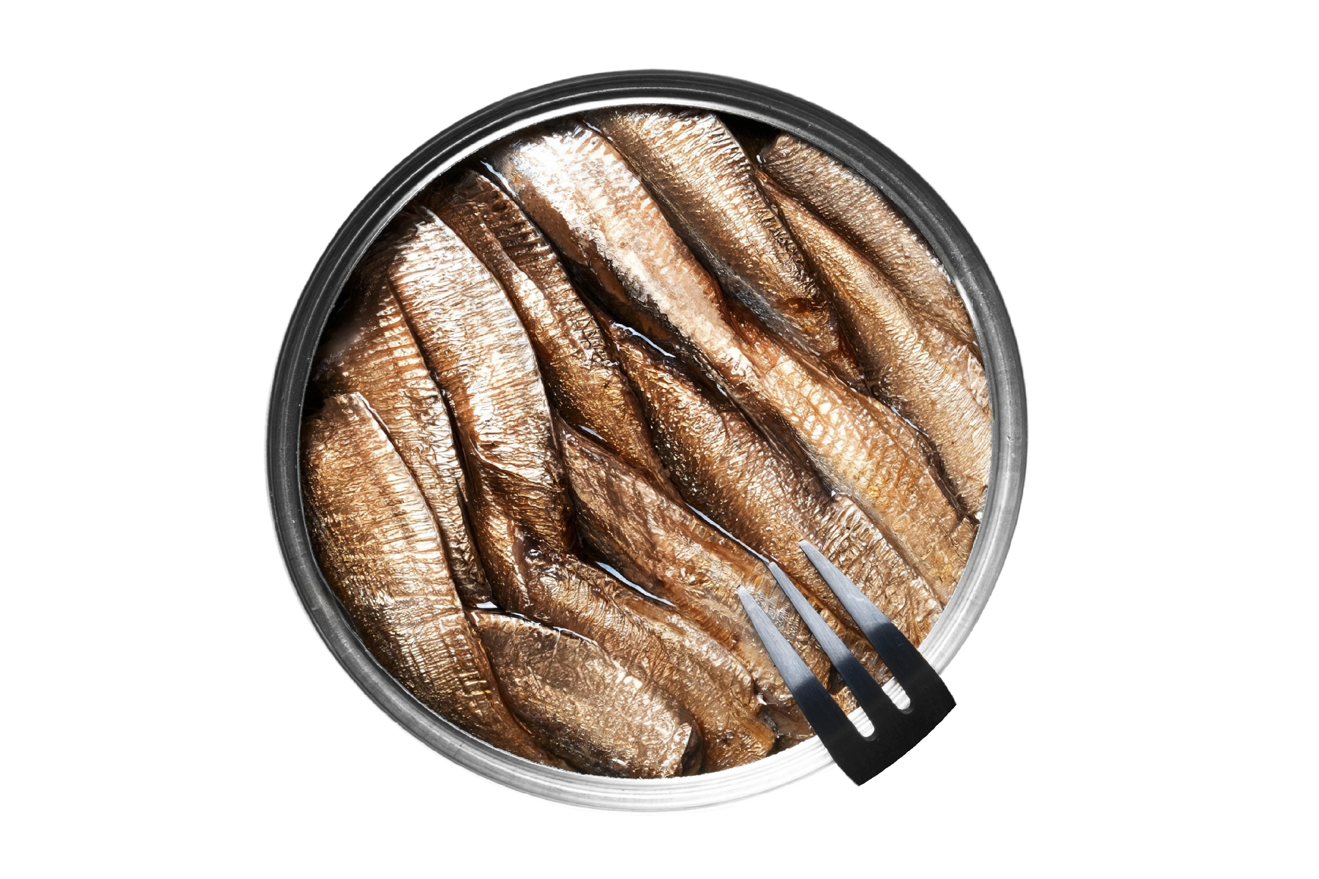 CONSERVAS DE PESCADO Y MARISCO